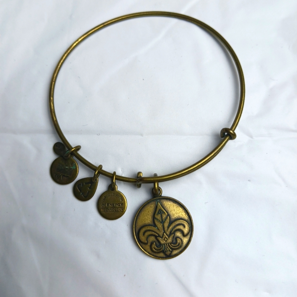 Alex & Ani 2014 GoldTone‎ Fleur de lis Charm Expandable Wire Bangle Bracelet